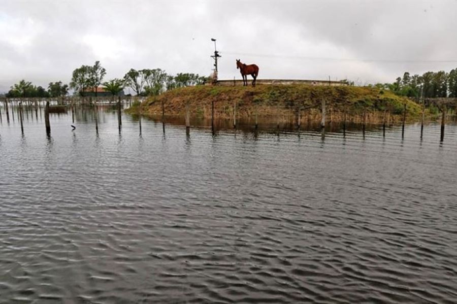 Declararon la emergencia hídrica en 26 distritos del noroeste de la provincia de Buenos Aires