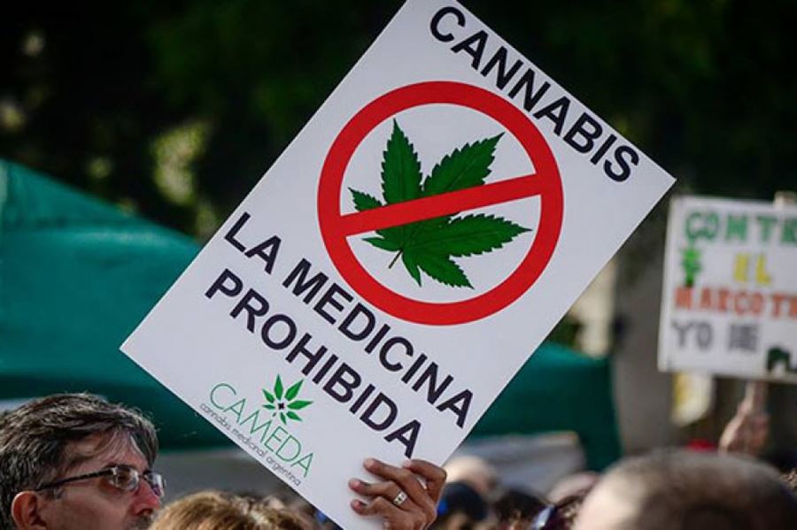 Mamá Cultiva exige la urgente reglamentación de la ley de cannabis medicinal