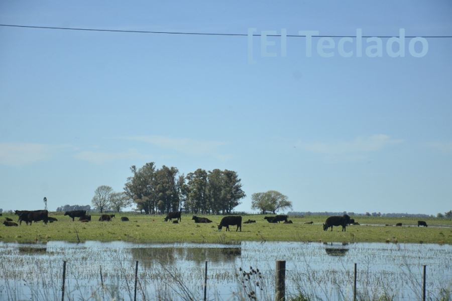 Ruralistas exigen celeridad  a Vidal: "No podemos esperar meses por un trámite burocrático"