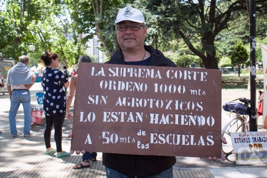 Fumigación con glifosato: Ambientalistas demandarán a Arroyo y a sus funcionarios