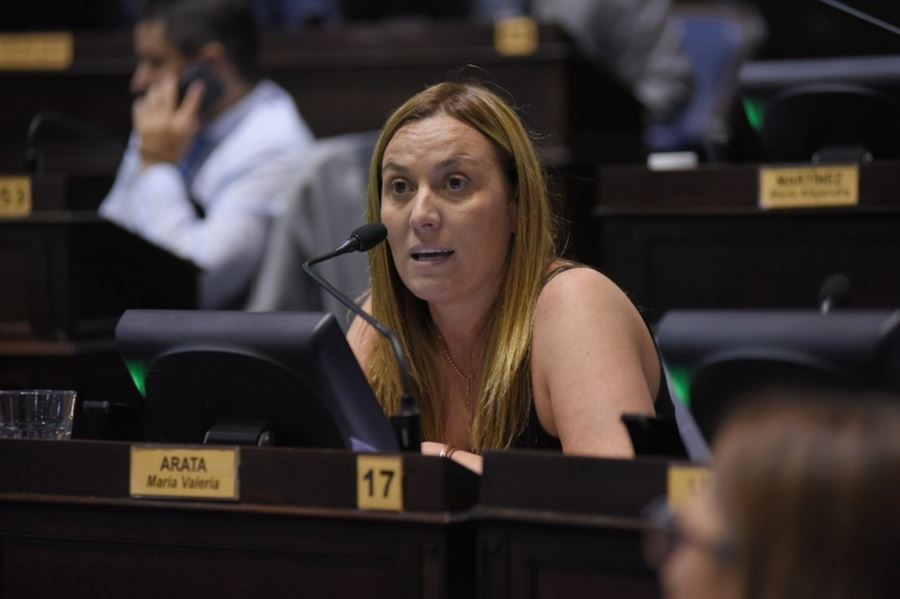 Valeria Arata: “Mientras sigamos con este modelo de ajuste, no vamos a avanzar nunca”   