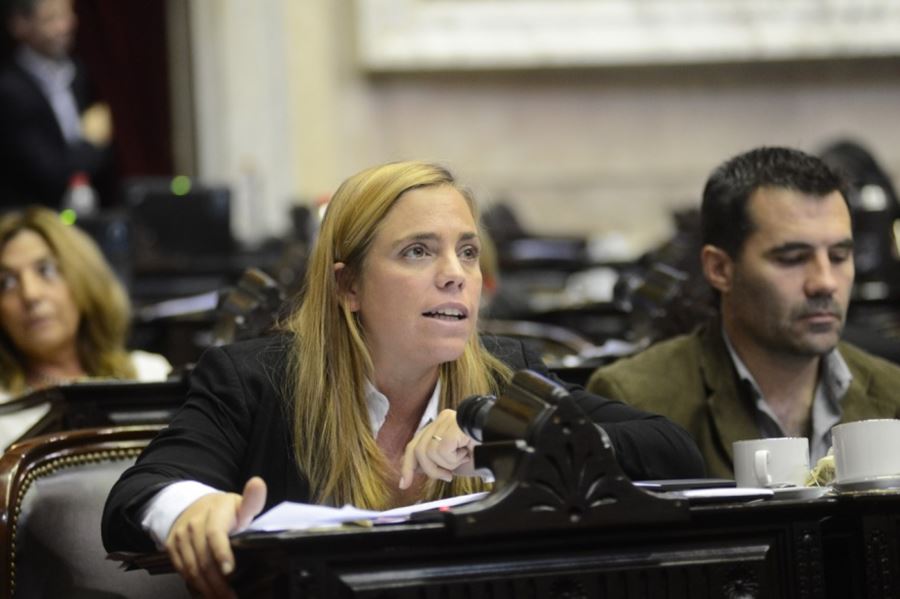 "Tenemos un Estado que sólo invierte en Buenos Aires", disparó la diputada rionegrina María Emilia Soria