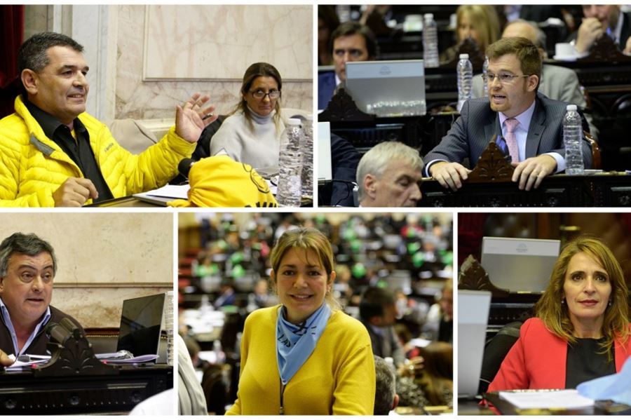 Jueves verde: Quiénes se manifestaron en contra del proyecto de legalización del aborto