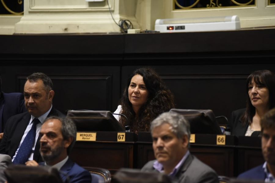 Marisol Merquel: "Vidal describió una provincia alejada de la realidad"