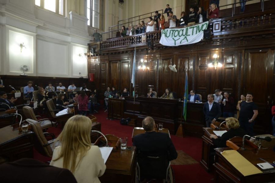 La Plata se convirtió en uno de los primeros municipios en adherir a la ley de cannabis medicinal
