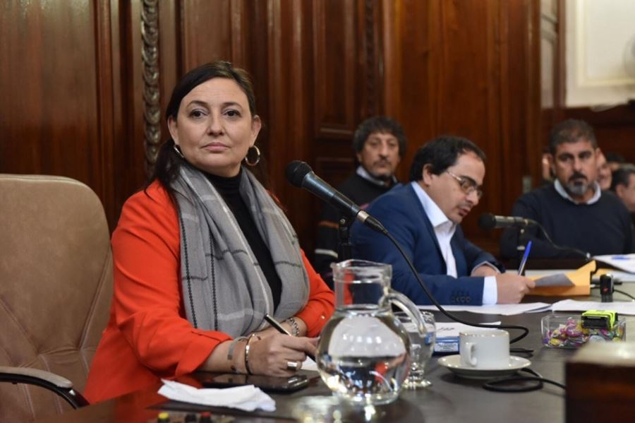 El Concejo Deliberante de La Plata avanza en la designación del nuevo defensor ciudadano