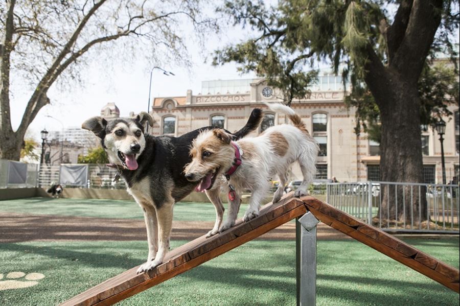 El Concejo Deliberante de La Plata aprobó la instalación de caniles exclusivos para perros en las plazas