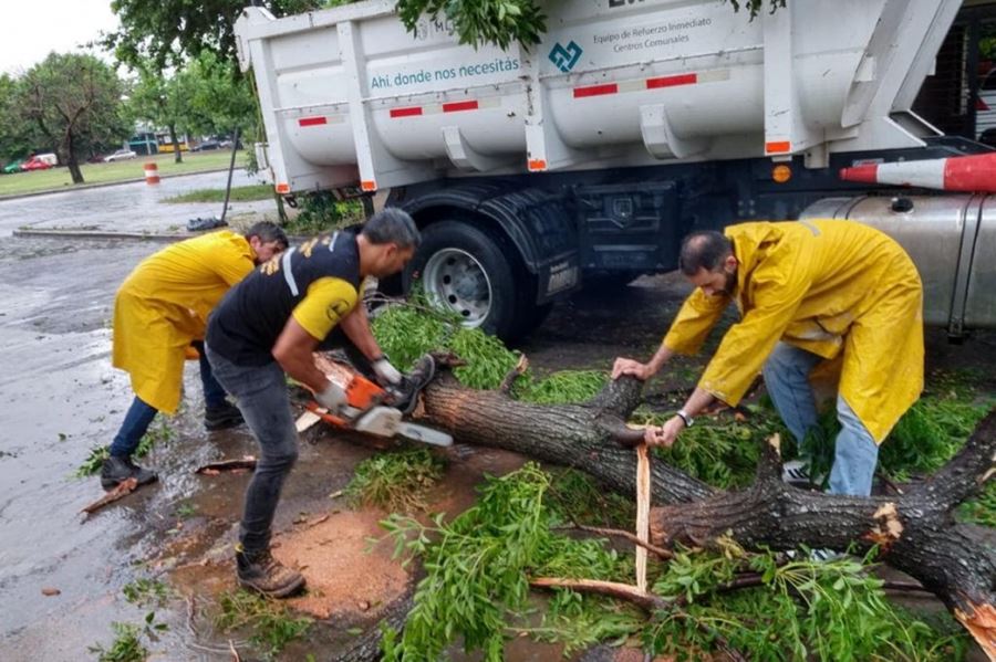 Registraron la caída de más de 200 árboles y ramas de gran porte a raíz del temporal