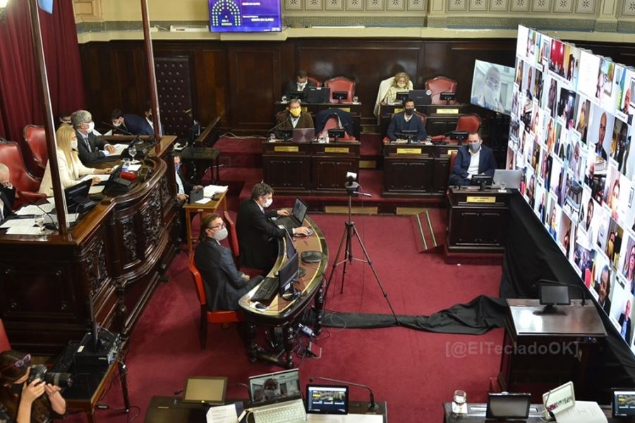 Con la totalidad de los legisladores, el Senado llevó adelante su sesión de manera virtual