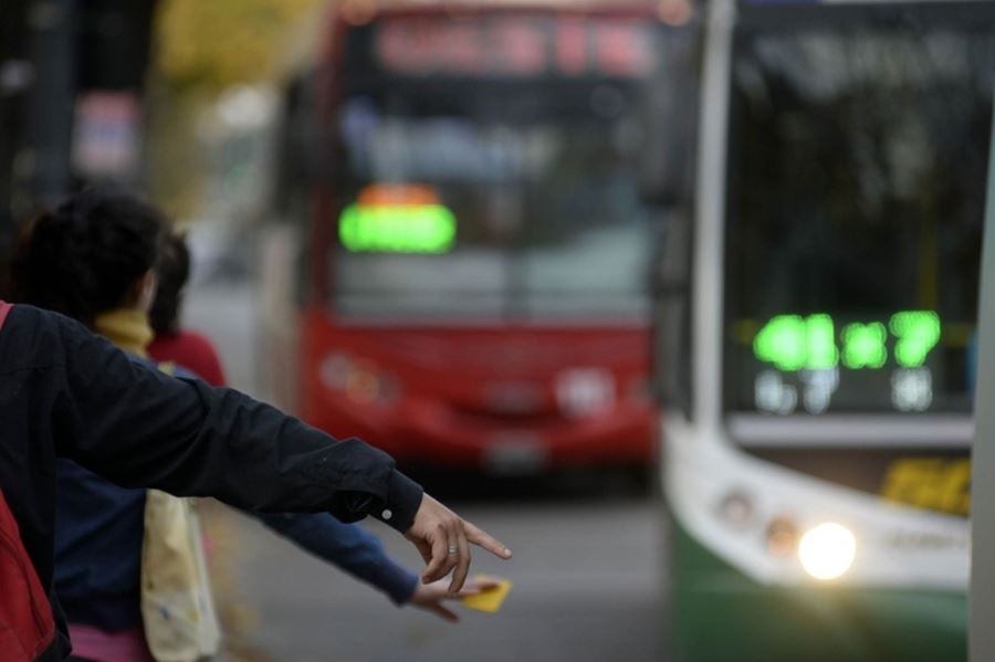 Barbijo, permiso de circulación y choferes aislados con nylon divisor: así funciona el transporte público en La Plata