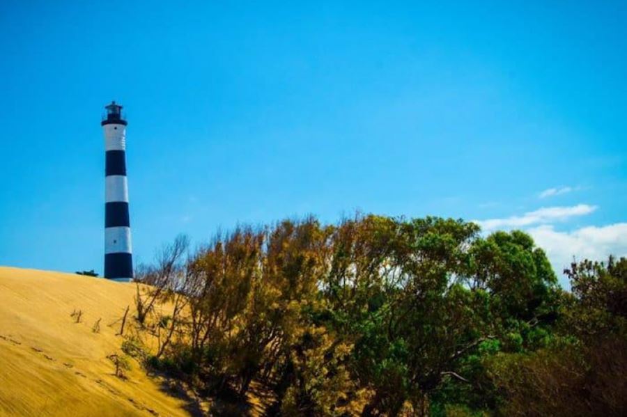 Conocer la provincia de Buenos Aires a través de sus reservas naturales