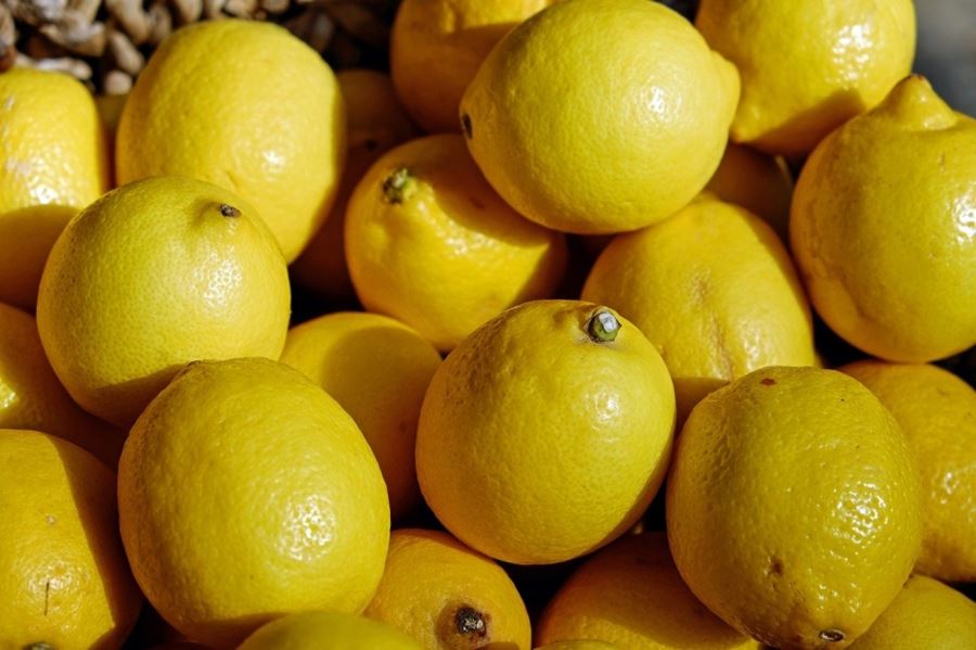 Por primera vez en la historia, Argentina exporta limones a China