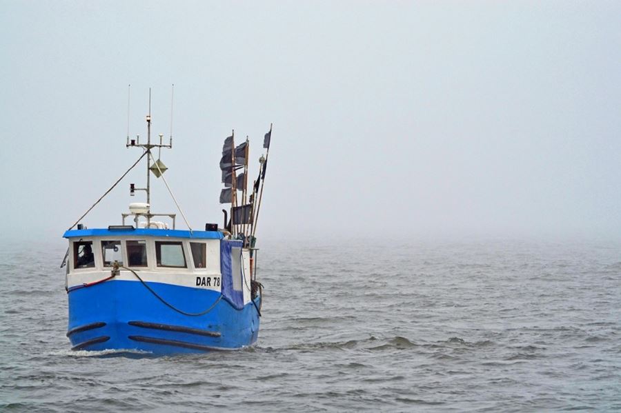 Avanza el proyecto que busca aumentar las multas para la pesca ilegal en el mar argentino