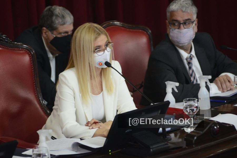 El Senado bonaerense aprobó leyes para respaldar a instituciones barriales y proteger a las víctimas en los procesos penales