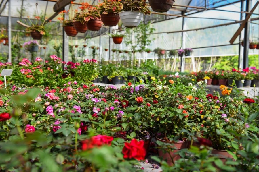 La Fiesta de la Flor desembarca en el mundo virtual con realidad aumentada, mapa interactivo y una tienda digital