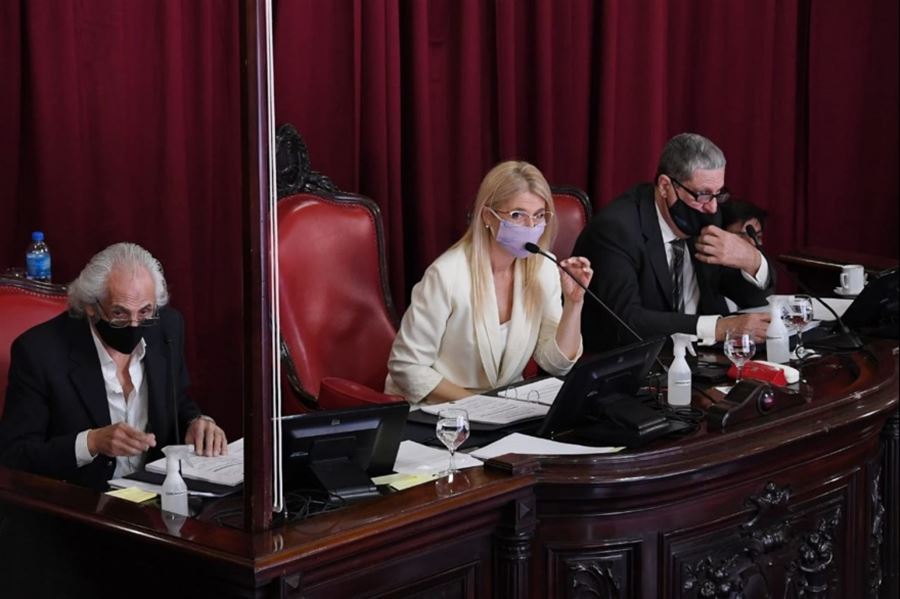 El Senado aprobó por unanimidad la ley de Góndolas para favorecer a productores regionales