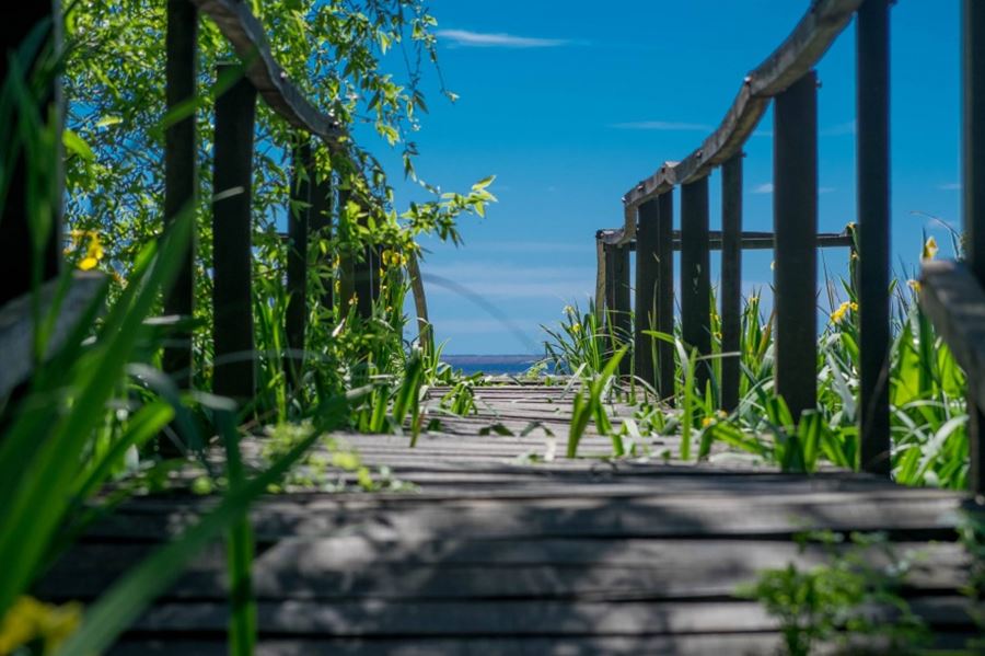 Un paseo por los paisajes agrestes históricos de la provincia de Buenos Aires