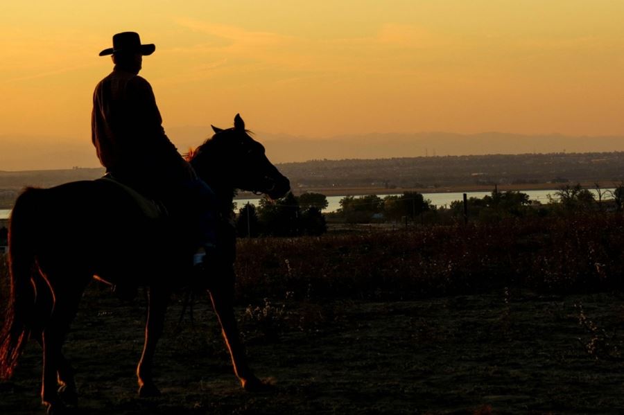 ¿Por qué se celebra este domingo el día Nacional del Gaucho?