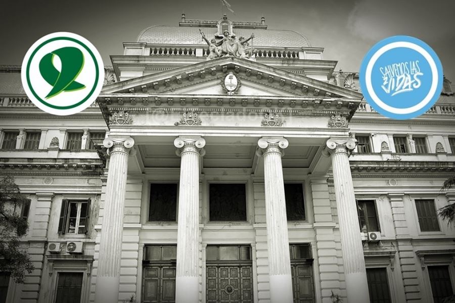 Las posturas de las legisladoras y legisladores bonaerenses frente a la legalización del aborto