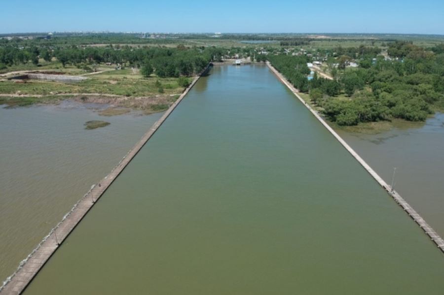 Crearon una mesa técnica para hacer un seguimiento de la algas del Río de la Plata