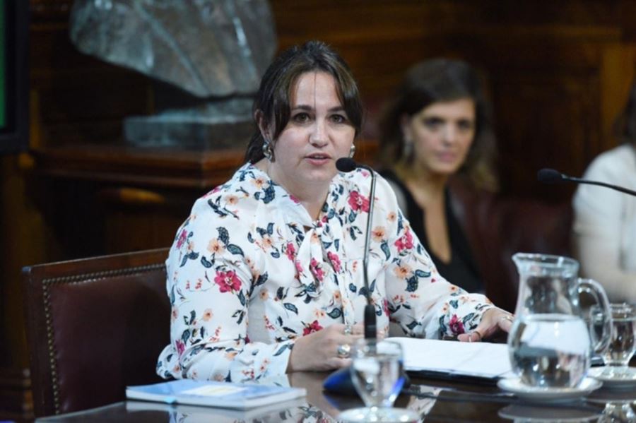 El potente discurso de Ana Almirón: "Decir que la maternidad será deseada es una condición de la dignidad humana"