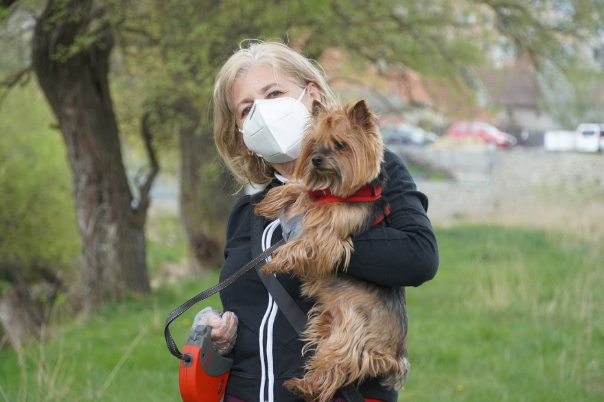 Coronavirus y animales: una incógnita permanente