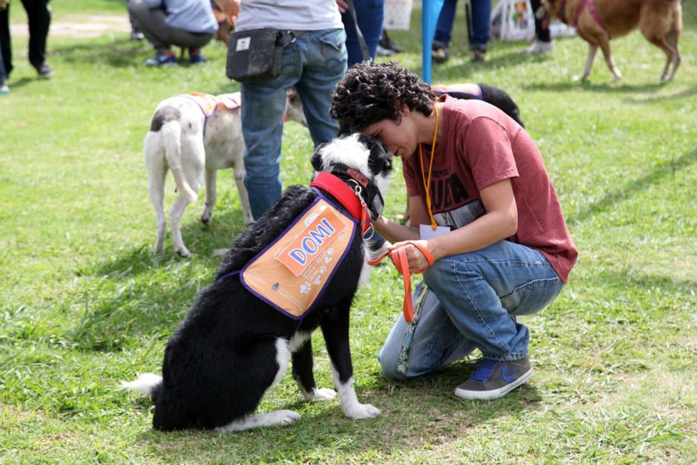Se viene una jornada de vacunación y asistencia gratuita de mascotas en La Repu