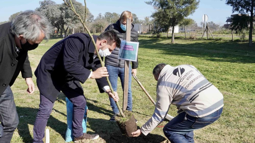 Corredores Viales lanzó un plan de forestación para la Autopista Ezeiza Cañuelas