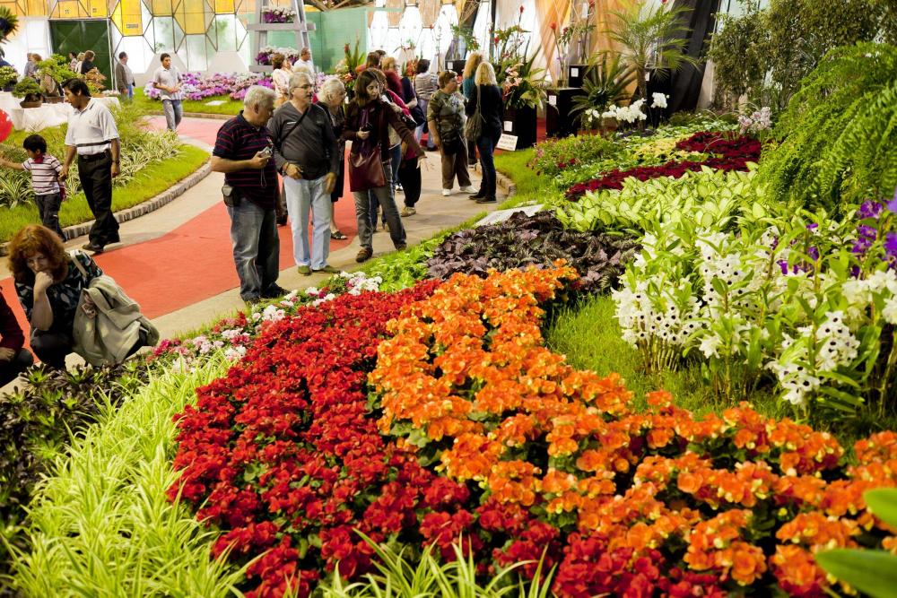 Arrancó la 58º edición de la Fiesta de la Flor en Escobar