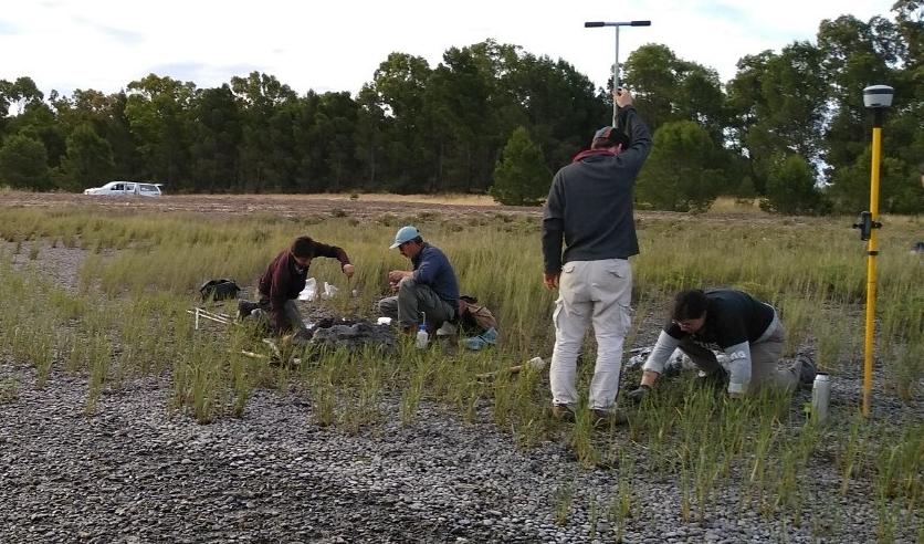 Investigadores de la UNLP estudiarán el cambio climático a través de las costas