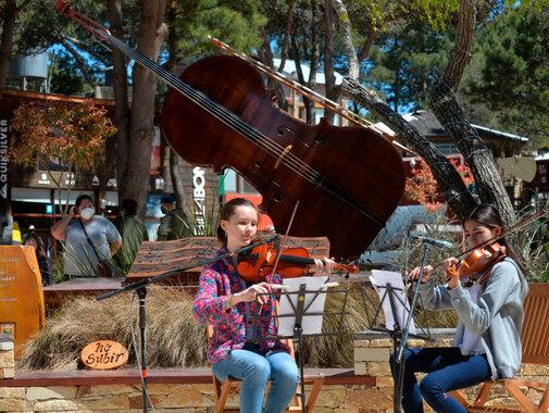 Mirá todo lo que hay para hacer en la Provincia, además de festejar la Navidad