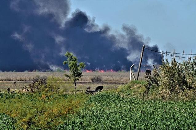 Desde el PRO cuestionan a Provincia por los incendios en las Islas del Río Paraná