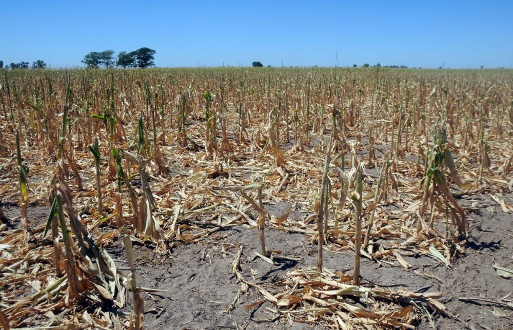 Juntos pide que la Provincia declare la emergencia agropecuaria por la sequía