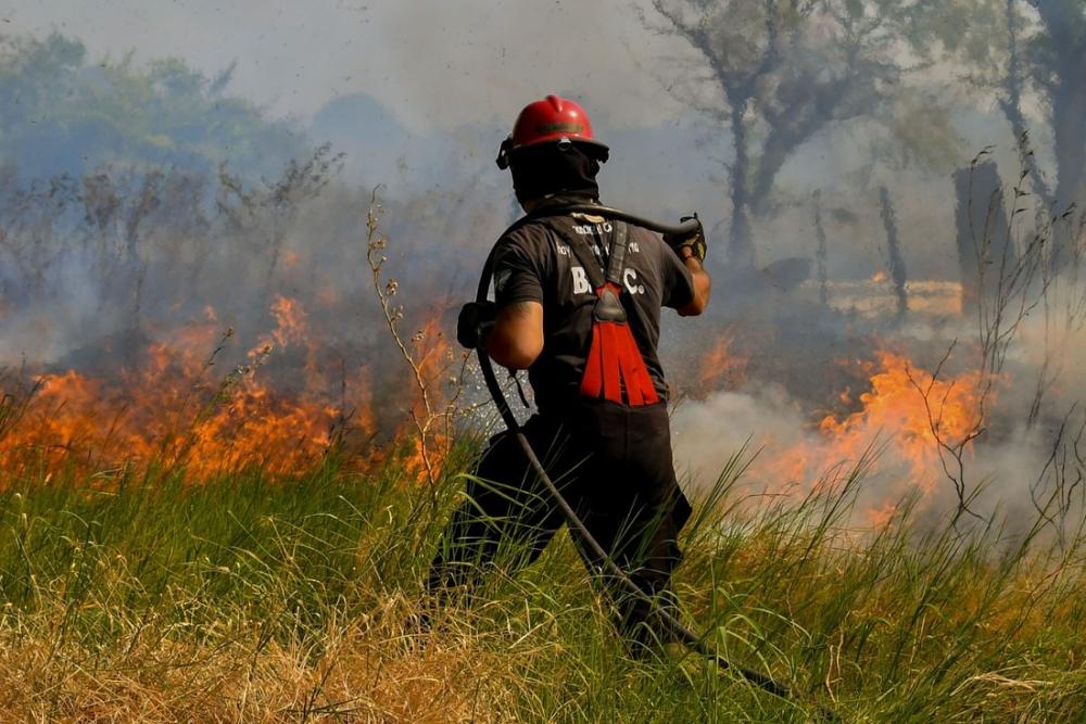Incendios en Corrientes: La Plata organiza una colecta en la Repu y el Pasaje