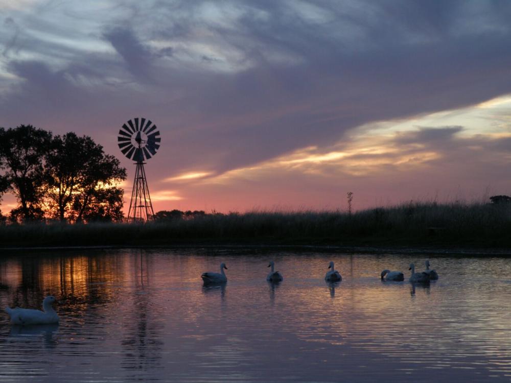 Para disfrutar: Punta Indio, naturaleza y experiencias de turismo comunitario