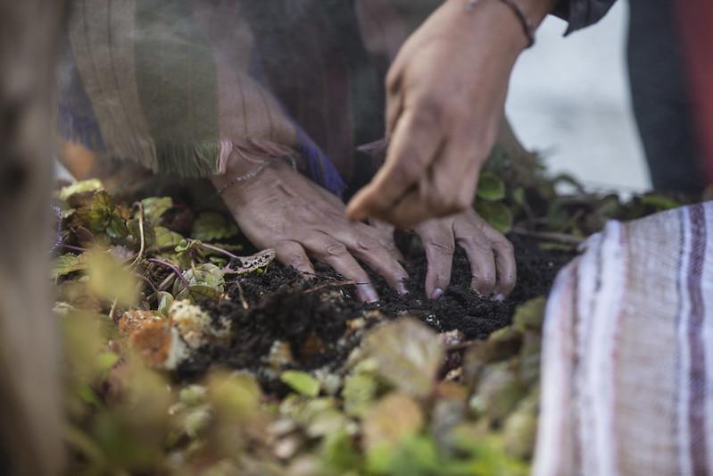 La Pachamama y el ritual de la caña con ruda: un día para pedir y agradecer