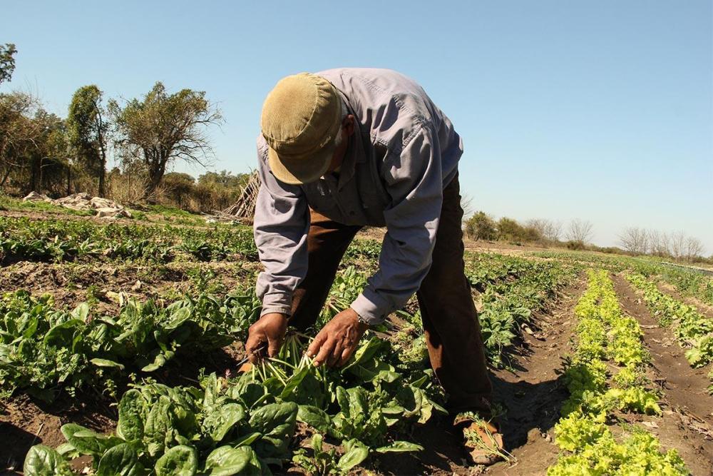 Se realiza la Primera Feria Agroecológica bonaerense: los detalles