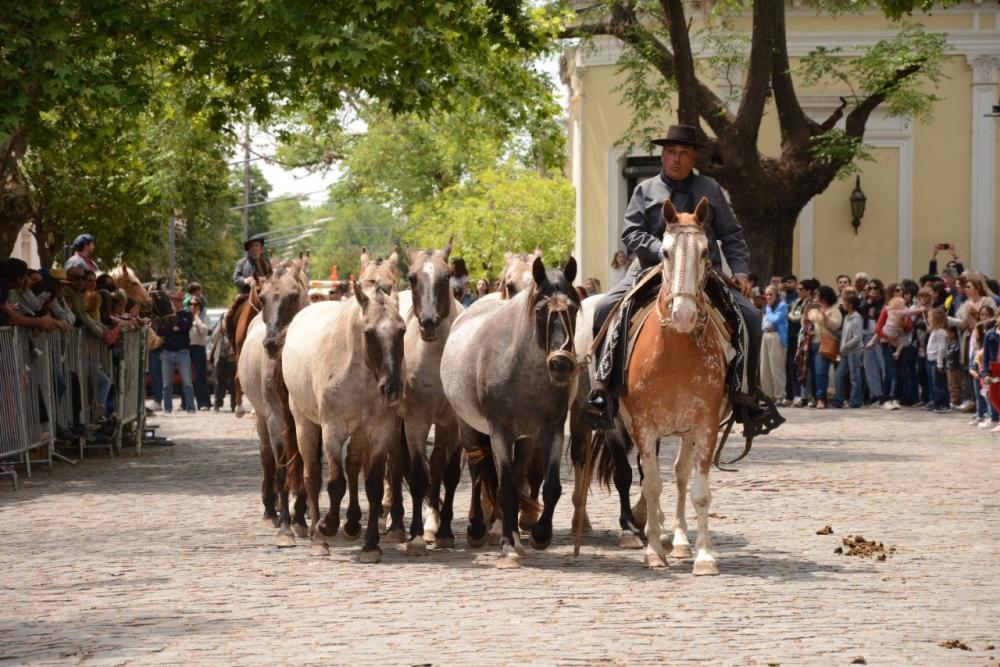 San Antonio de Areco sopló las 292 velitas, en una jornada a pura música y desfile
