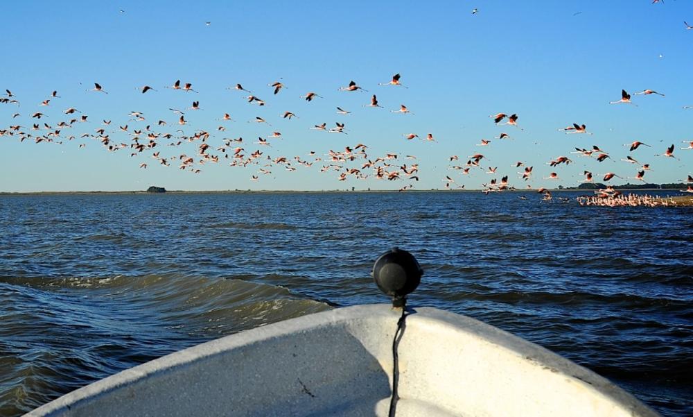 Turismo lagunero bonaerense: espectacular fin de semana para un paseo en lancha