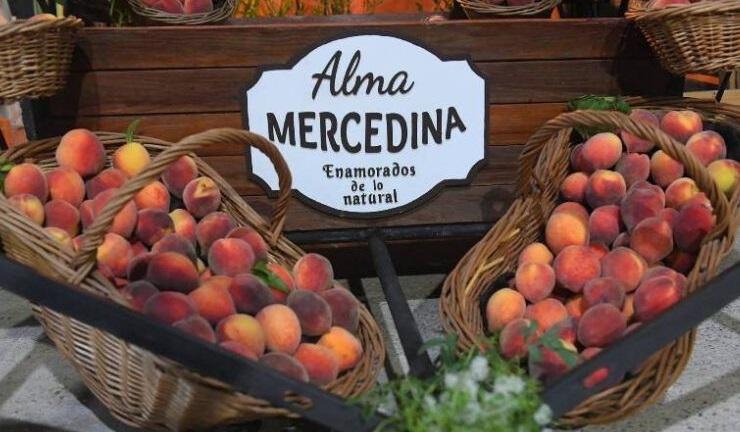 Arranca hoy en Mercedes la Fiesta Nacional del Durazno: el cronograma completo