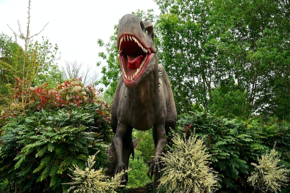 Dino Park en La Repu: construyen un parque que recreará el universo prehistórico