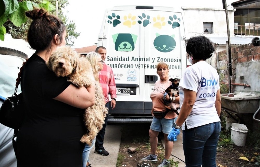 Impresionante rescate: sacaron de un criadero clandestino a 582 perros, gatos y aves