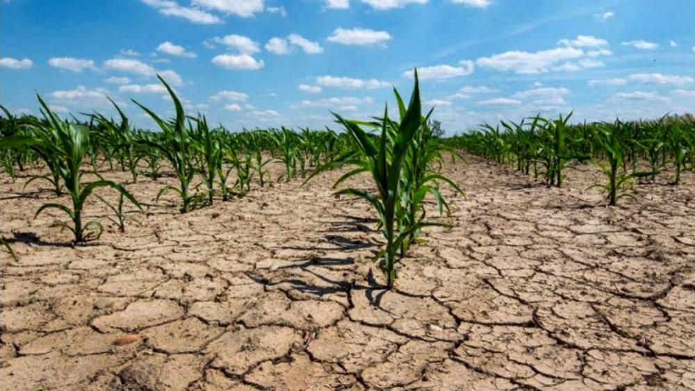 Nación declaró la emergencia agropecuaria en 19 distritos por la sequía: cuáles son