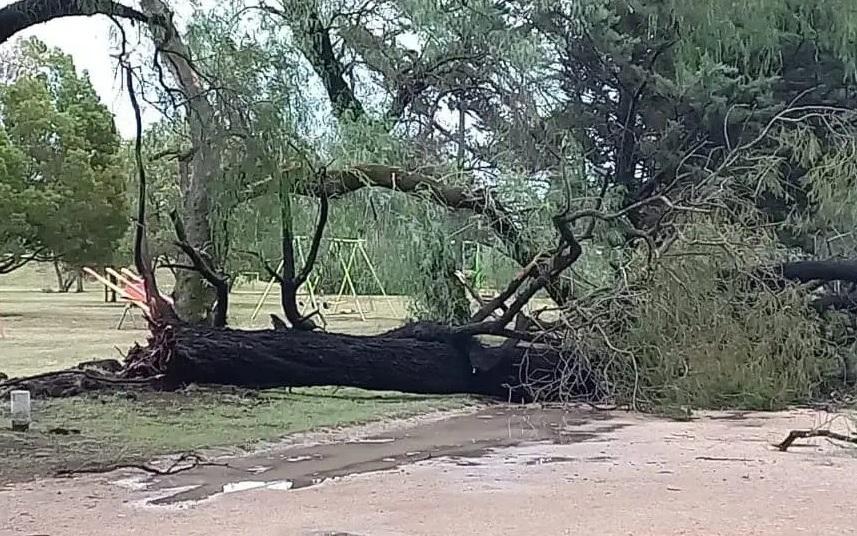 Una cola de tornado afectó fuerte a Coronel Dorrego: se volaron hasta las piletas