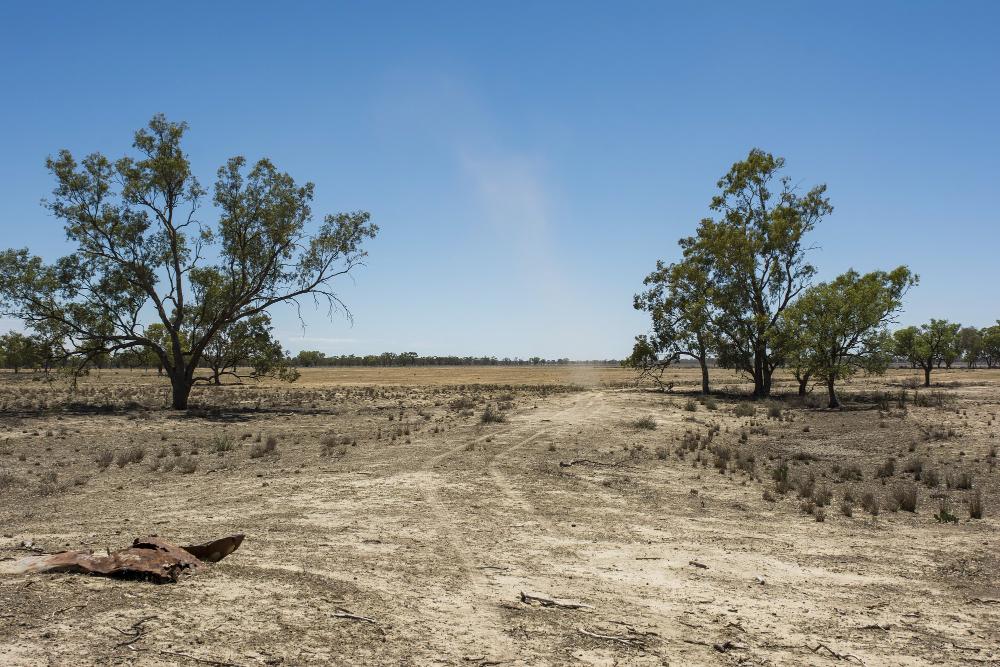 Impactado por la sequía, el campo le habla al próximo gobierno por las retenciones