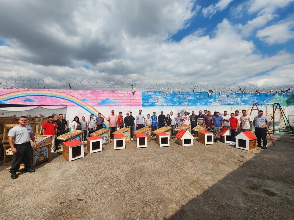 Perros felices: presos de una cárcel platense construyeron 40 cuchas para un refugio