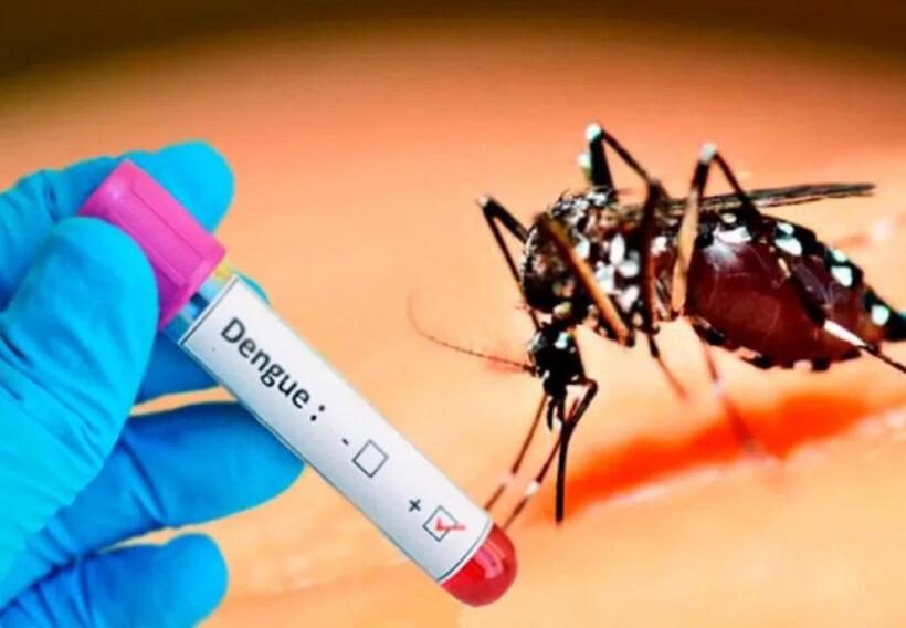 Alerta Salud: qué hacer si se detectan síntomas de dengue y fiebre chikungunya
