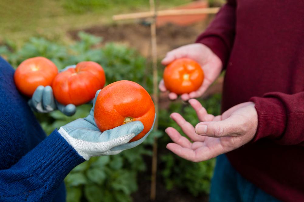 En marzo, el consumidor pagó 3,7 veces más de lo que cobró el productor del agro