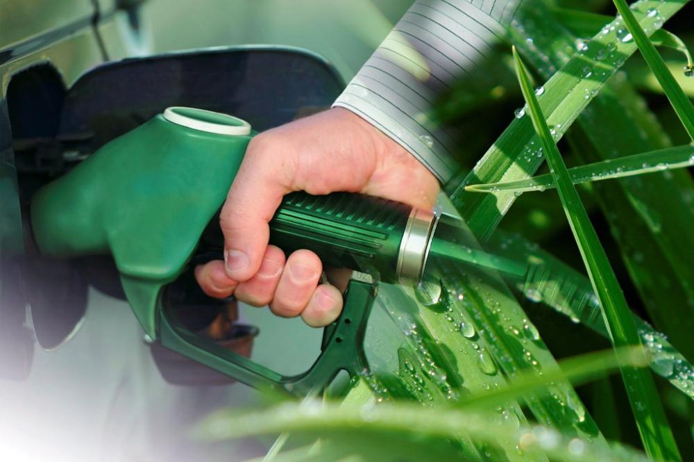 Avanza un proyecto que busca promover la producción de los biocombustibles