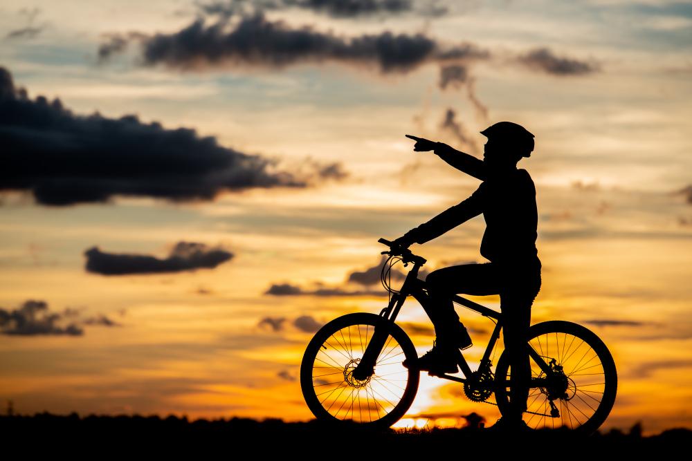 Hoy se celebra el día de la Bicicleta: salud, economía y ambiente sobre ruedas 